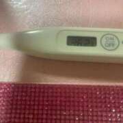 ヒメ日記 2026/04/13 14:17 投稿 愛内アイラ(奥方 奥様幕府