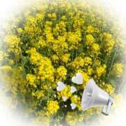 ヒメ日記 2026/03/23 22:15 投稿 ひめか ハンドキャンパス池袋