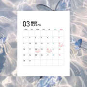 ゆま 3月の出勤予定🧸💕 僕のぽっちゃり伝説