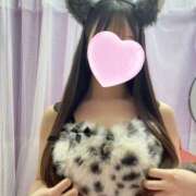 まひろ 🎀出勤情報🎀 新宿ハンドメイド