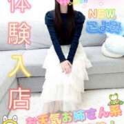 ヒメ日記 2026/03/14 13:27 投稿 新人 こよみｻﾝ De愛急行 栗東インター店