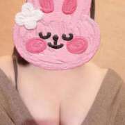 ヒメ日記 2026/03/12 14:33 投稿 小春（こはる） ビッグバード