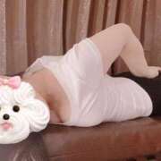 小春（こはる） 日曜の夜は一緒に ビッグバード