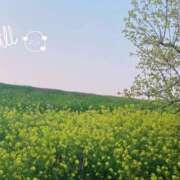 小春（こはる） 起き抜けにするのは気持ちいい ビッグバード