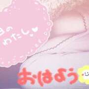 ヒメ日記 2026/05/06 08:34 投稿 小春（こはる） ビッグバード