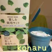 ヒメ日記 2026/05/09 09:56 投稿 小春（こはる） ビッグバード
