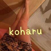 ヒメ日記 2026/05/17 12:24 投稿 小春（こはる） ビッグバード