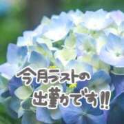 ヒメ日記 2026/05/31 07:14 投稿 小春（こはる） ビッグバード