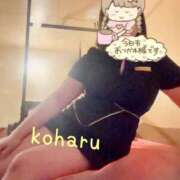 ヒメ日記 2026/06/05 07:04 投稿 小春（こはる） ビッグバード