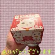 ヒメ日記 2026/06/18 21:24 投稿 小春（こはる） ビッグバード