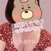 ヒメ日記 2026/06/20 17:24 投稿 小春（こはる） ビッグバード