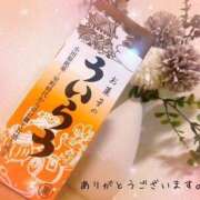 ヒメ日記 2026/07/10 21:14 投稿 小春（こはる） ビッグバード