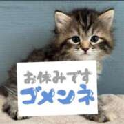 ヒメ日記 2026/07/12 10:14 投稿 小春（こはる） ビッグバード