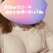 ヒメ日記 2026/07/12 22:55 投稿 小春（こはる） ビッグバード