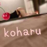ヒメ日記 2026/07/15 14:34 投稿 小春（こはる） ビッグバード