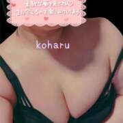 ヒメ日記 2026/07/15 22:44 投稿 小春（こはる） ビッグバード
