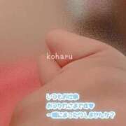ヒメ日記 2026/07/16 07:44 投稿 小春（こはる） ビッグバード
