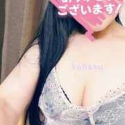 ヒメ日記 2026/07/17 09:14 投稿 小春（こはる） ビッグバード