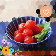 小春（こはる） あたらしい朝が来た ビッグバード