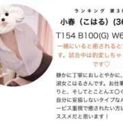 ヒメ日記 2026/08/06 17:04 投稿 小春（こはる） ビッグバード