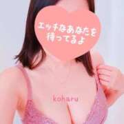 ヒメ日記 2026/08/28 10:54 投稿 小春（こはる） ビッグバード