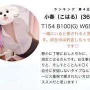 ヒメ日記 2026/09/06 12:04 投稿 小春（こはる） ビッグバード