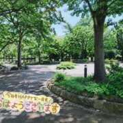 ヒメ日記 2026/09/14 10:14 投稿 小春（こはる） ビッグバード