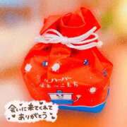 ヒメ日記 2026/10/02 21:04 投稿 小春（こはる） ビッグバード