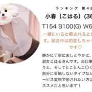 ヒメ日記 2026/10/04 12:24 投稿 小春（こはる） ビッグバード