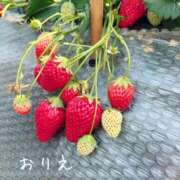 ヒメ日記 2026/04/19 19:07 投稿 おりえ 土浦ハッピーマットパラダイス