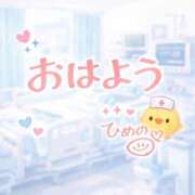 ヒメ日記 2026/03/13 07:46 投稿 ひめの 上大岡しこたまクリニック