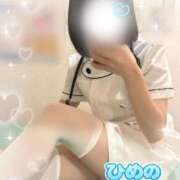 ヒメ日記 2026/03/13 09:16 投稿 ひめの 上大岡しこたまクリニック