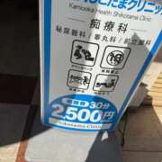 すみれ 今日も今日とて、、 上大岡しこたまクリニック