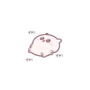 ヒメ日記 2026/04/29 17:16 投稿 ももな 上大岡しこたまクリニック