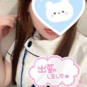 ヒメ日記 2026/04/03 10:36 投稿 かなで 上大岡しこたまクリニック