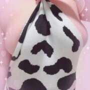 ヒメ日記 2026/03/10 21:00 投稿 るりな 奥様なでしこ