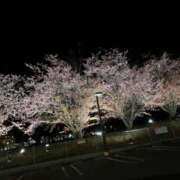 ヒメ日記 2026/03/21 23:30 投稿 立岩三奈 五十路マダム 徳島店