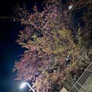 ヒメ日記 2026/03/26 22:12 投稿 立岩三奈 五十路マダム 徳島店