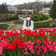 ヒメ日記 2026/04/08 20:00 投稿 もも XSTASY（エクスタシー）