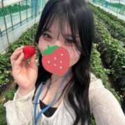 ゆず 次回出勤は23日です！ 横浜シンデレラ（シンデレラグループ）