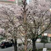 ヒメ日記 2026/04/07 17:59 投稿 花純-かすみ 熟女10000円デリヘル 川崎