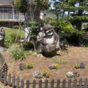 ヒメ日記 2026/05/03 13:48 投稿 花純-かすみ 熟女10000円デリヘル横浜