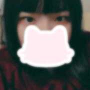 ヒメ日記 2026/03/17 09:01 投稿 みみ 奥様特急長岡店