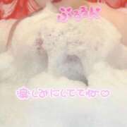 ヒメ日記 2026/04/26 13:14 投稿 ぷりん 香川サンキュー