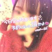 ヒメ日記 2026/04/29 07:12 投稿 ぷりん 香川サンキュー