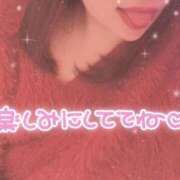 ヒメ日記 2026/05/07 08:42 投稿 ぷりん 香川サンキュー
