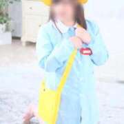 ヒメ日記 2026/06/06 08:42 投稿 ぷりん 香川サンキュー