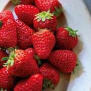 ヒメ日記 2026/03/09 07:46 投稿 烏丸れいこ 人妻ジャンキー