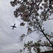 ヒメ日記 2026/04/11 15:10 投稿 みゆな 奥鉄オクテツ和歌山