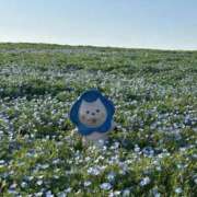 こはく こはくの休日💙 リアル 梅田店